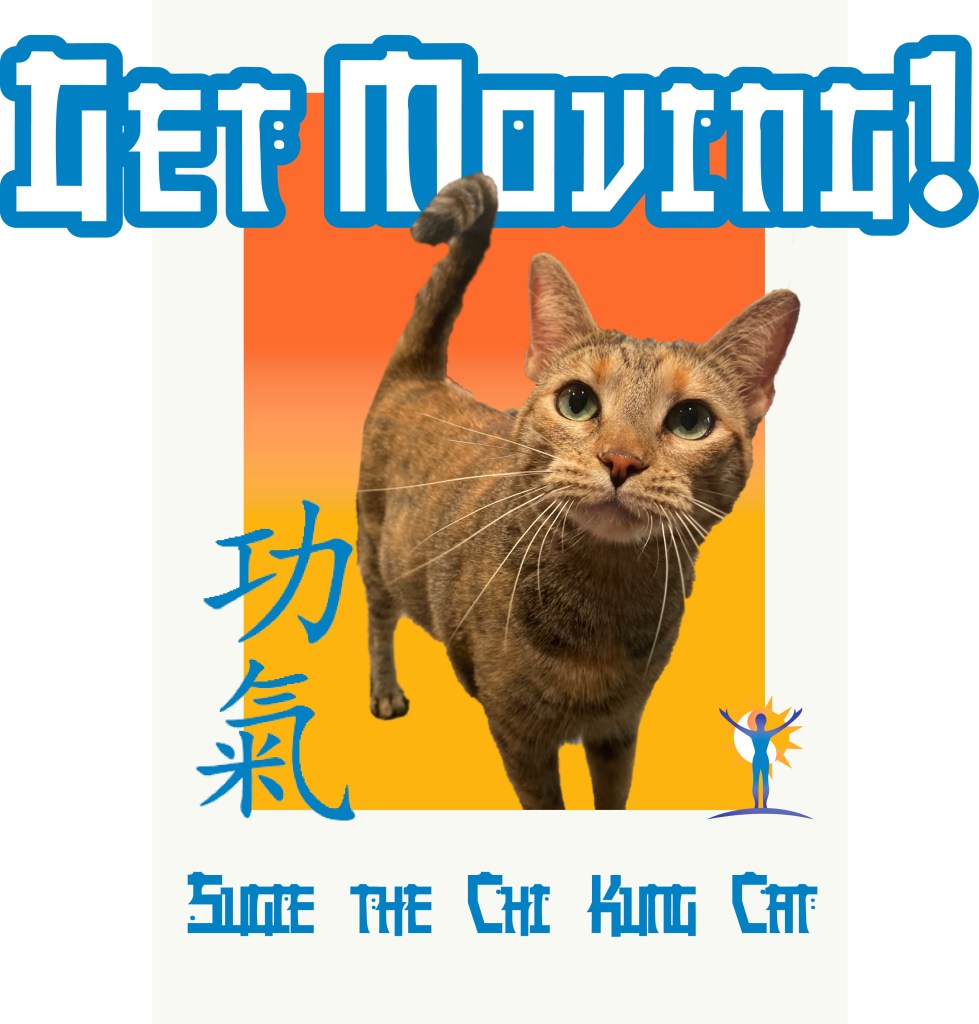 Get Moving! Says Sugie the Qigong Energy Master Cat